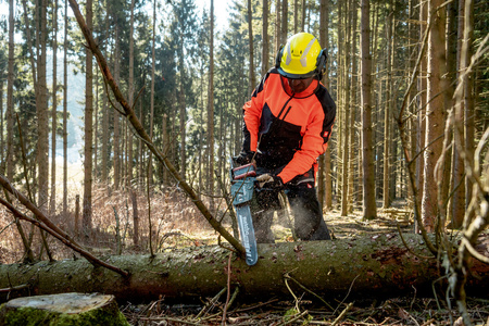 Akumulatorowa pilarka łańcuchowa Metabo MS 36-18 LTX BL 40 (601613850)