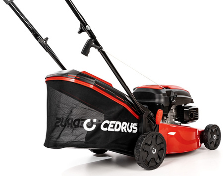 Kosiarka spalinowa Cedrus KS42