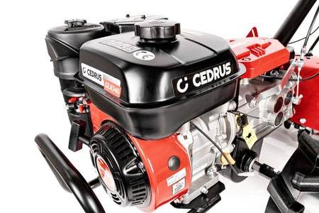 Glebogryzarka spalinowa CEDRUS 54cm Weima WM170F/P
