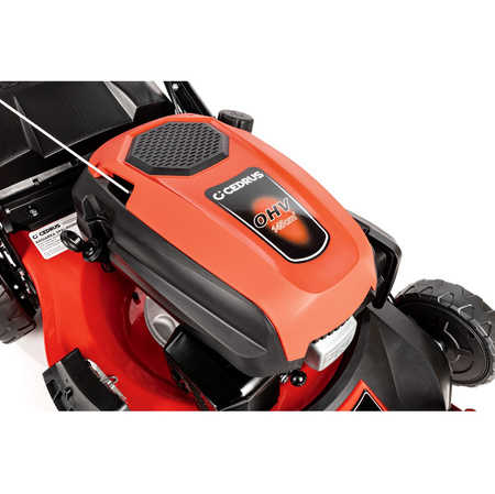 Kosiarka spalinowa Cedrus KS48S