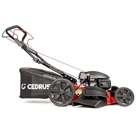 Kosiarka spalinowa z napędem Cedrus KS53S-H AL z silnikiem Honda