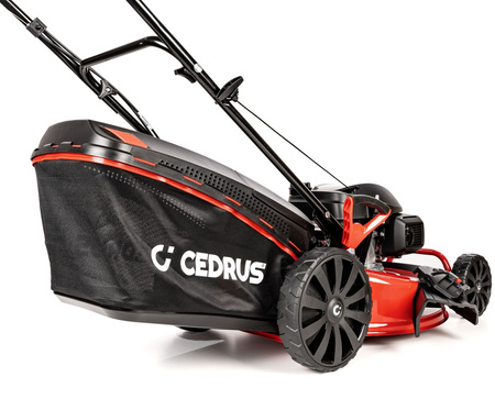 Kosiarka spalinowa Cedrus KS56S-H