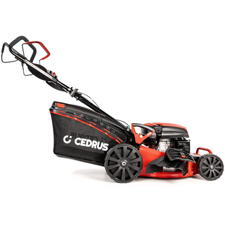 Kosiarka spalinowa Cedrus KS48S