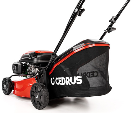 Kosiarka spalinowa Cedrus KS42