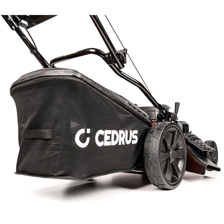 Kosiarka spalinowa z napędem Cedrus KS53S-H AL z silnikiem Honda