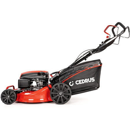 Kosiarka spalinowa Cedrus KS48S