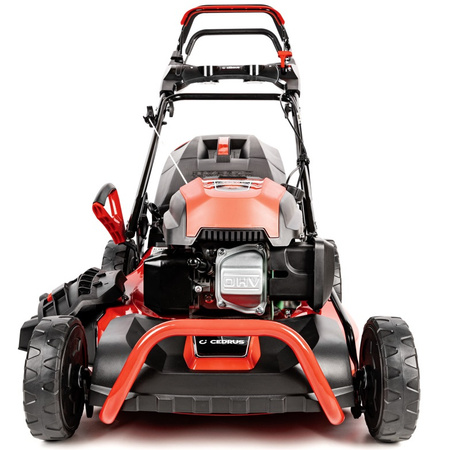 Kosiarka spalinowa Cedrus KS48S