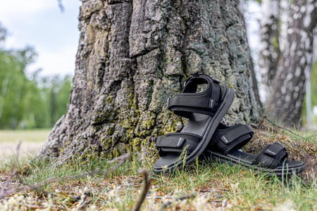 Sandały męskie na rzepy pianka PHYLON 45