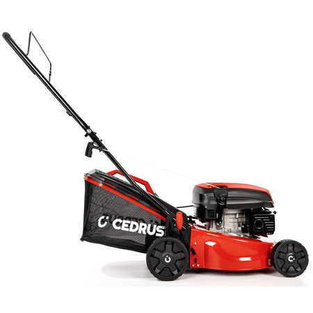 Kosiarka spalinowa Cedrus KS42