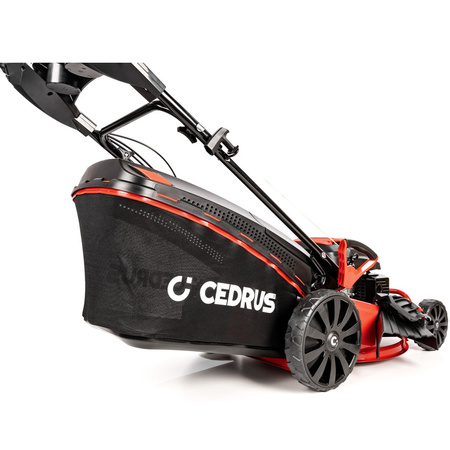 Kosiarka spalinowa Cedrus KS48S