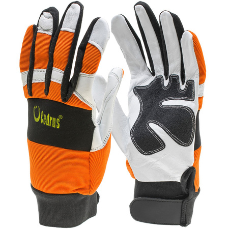 Rękawice antyprzecięciowe Cedrus Forest Classic