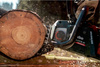 Akumulatorowa pilarka łańcuchowa Metabo MS 36-18 LTX BL 40 (601613850)
