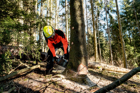 Akumulatorowa pilarka łańcuchowa Metabo MS 36-18 LTX BL 40 (601613850)