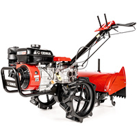 Glebogryzarka spalinowa CEDRUS 54cm Weima WM170F/P